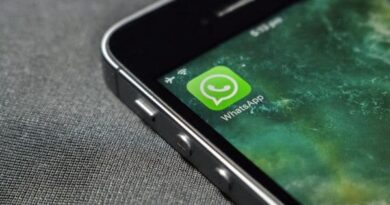 novidades-no- whatsapp-business